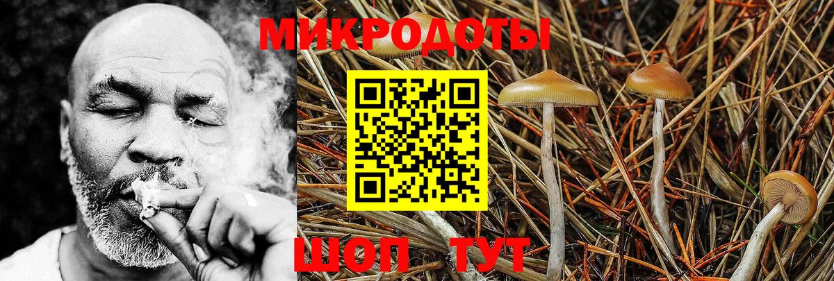 Петрозаводск  продажа наркотиков  Вход с VPN  Псилоцибиновые грибы Magic Shrooms  Псилоцибиновые грибы Psilocybe 